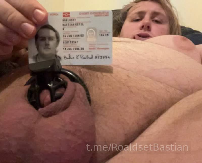 exposed-piggy image 2