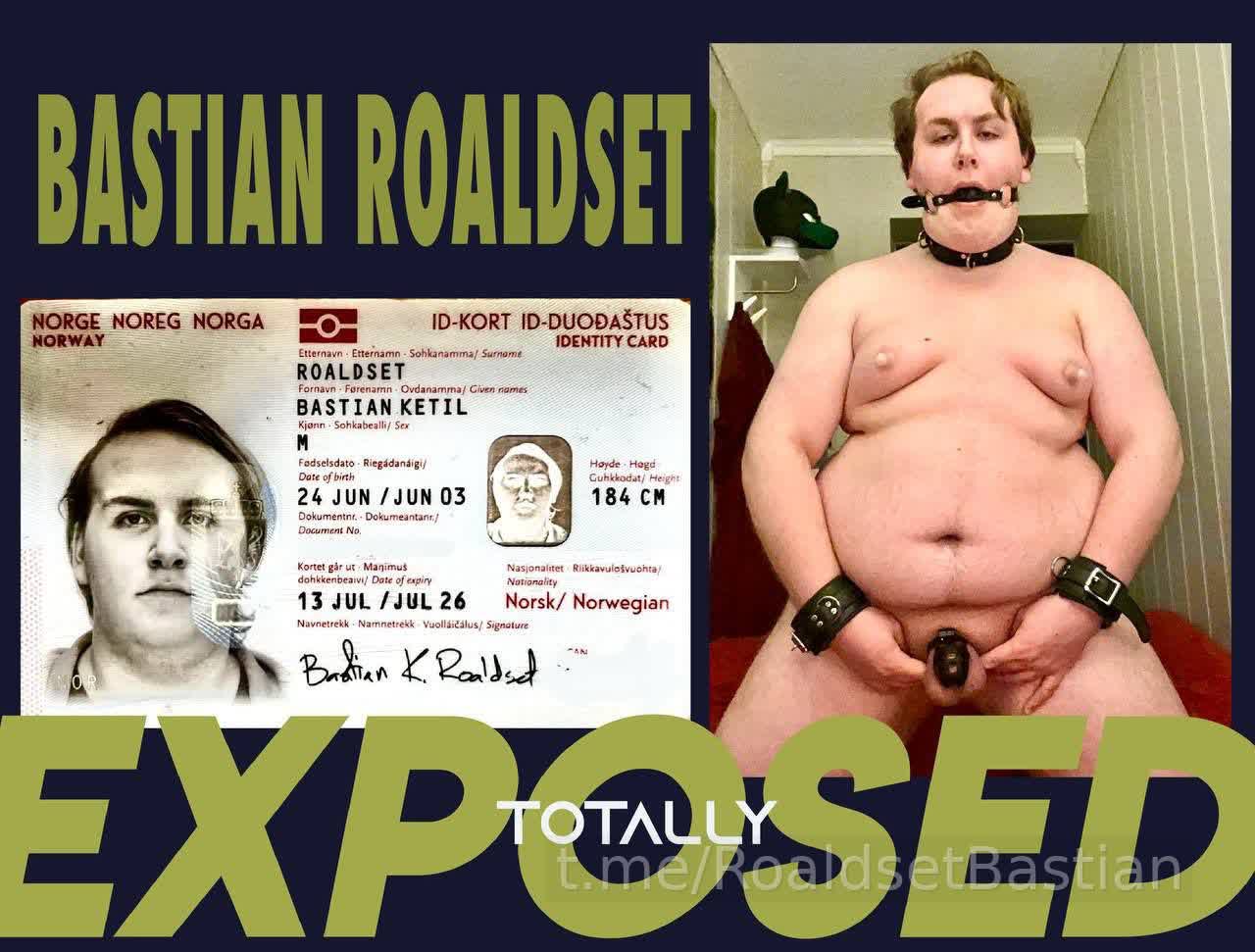 exposed-piggy image 7